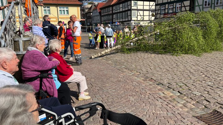 tp ch - maibaum