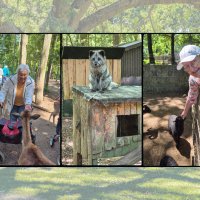 tp lwl zoo